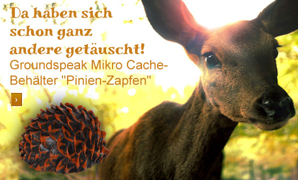 cache-behaelter