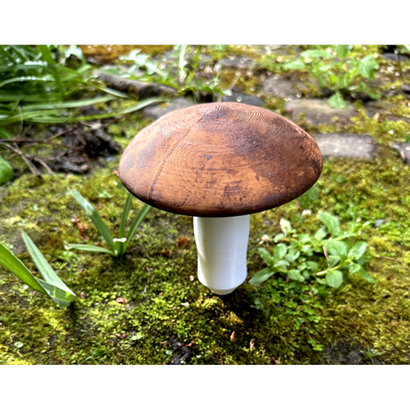 Großer Pilz, Cache-Behälter