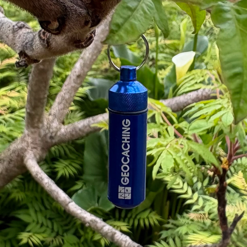 Mikrobehälter "Bison Kapsel" small, blau