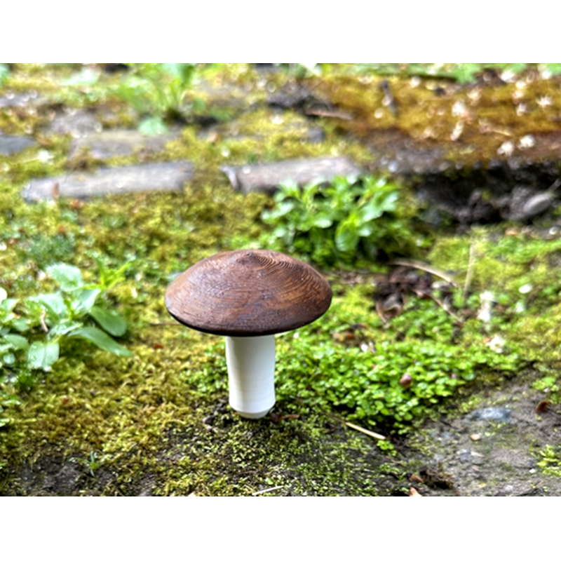 Kleiner Pilz, Cache-Behälter