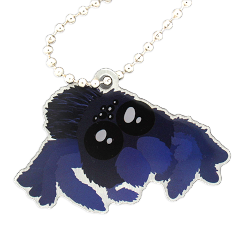 Shadow die Spinne, Halloween Travel Tag Shadow die Spinne, Halloween Travel Tag