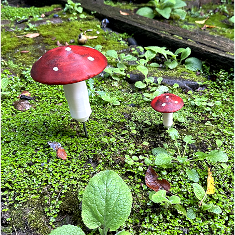 Großer Fliegenpilz, Cachebahälter