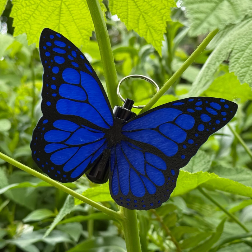 Schmetterling, Bison Cache Container