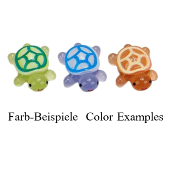 Mini-Schildkröten Mini-Schildkröten